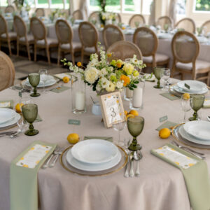 I&M-205 Serweta bankietowa - pistacja