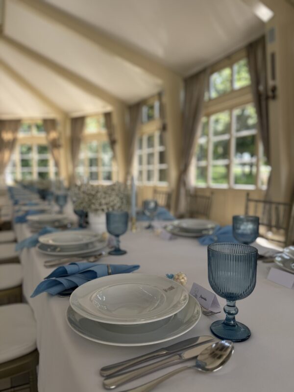 IMG_7478 Kielich niebieski ryflowany